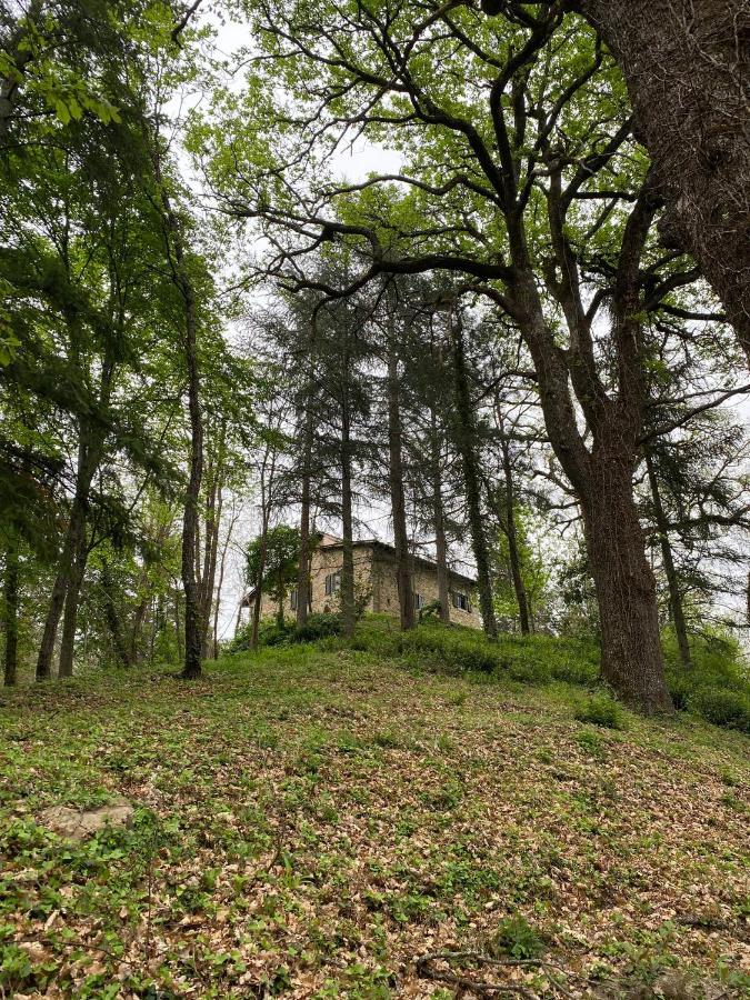 Naturemugello Oasi Naturista Dicomano Exterior photo